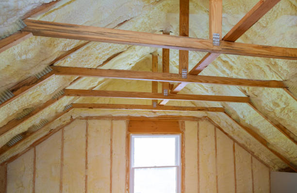 Best Eco-Friendly Insulation in Plafield, IN
