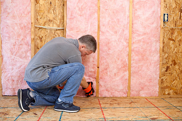 Best Insulation Maintenance and Repair in Plafield, IN