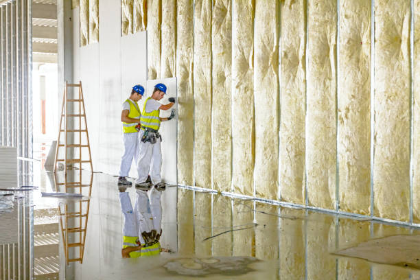 Best Insulation for Specific Applications in Plafield, IN